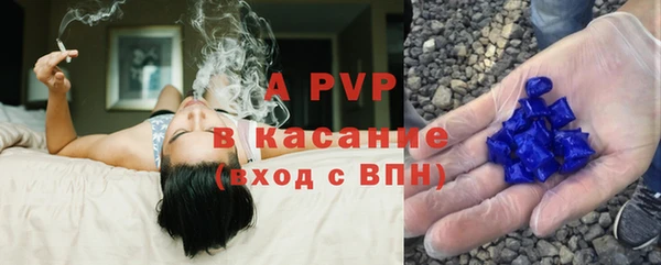 сатива Коряжма