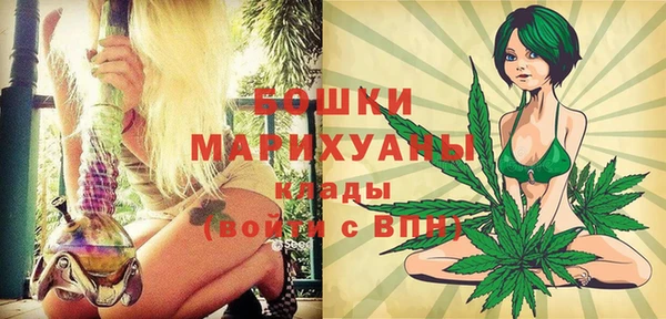 сатива Коряжма