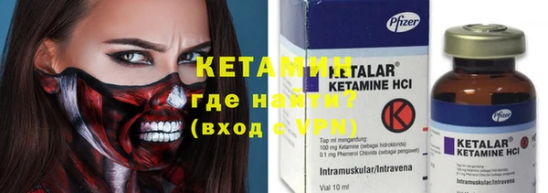 сатива Коряжма