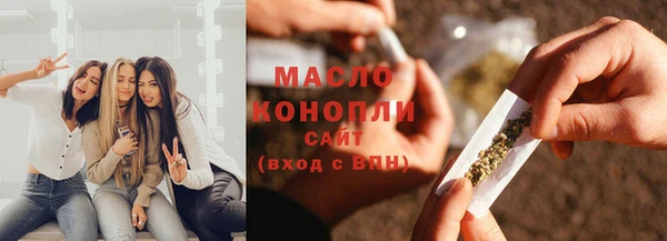 сатива Коряжма