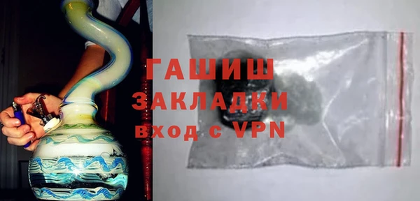 сатива Коряжма