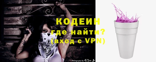 сатива Коряжма