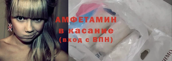 сатива Коряжма