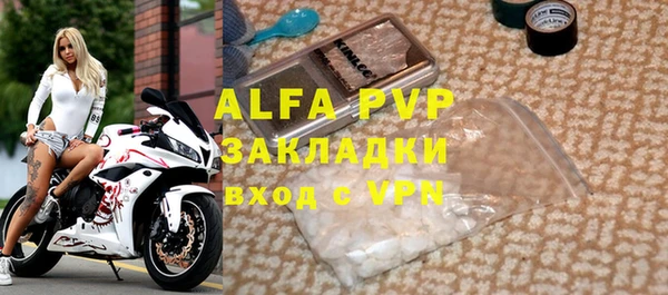 сатива Коряжма