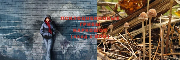 таблы Корсаков