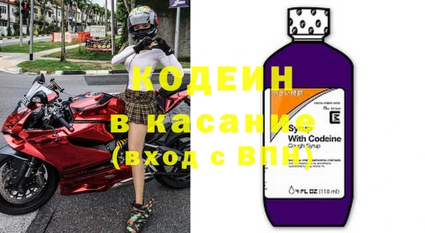 сатива Коряжма