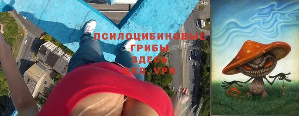 apvp Костерёво