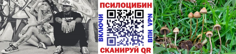 Галлюциногенные грибы мухоморы даркнет сайт ОМГ ОМГ сайт Шлиссельбург